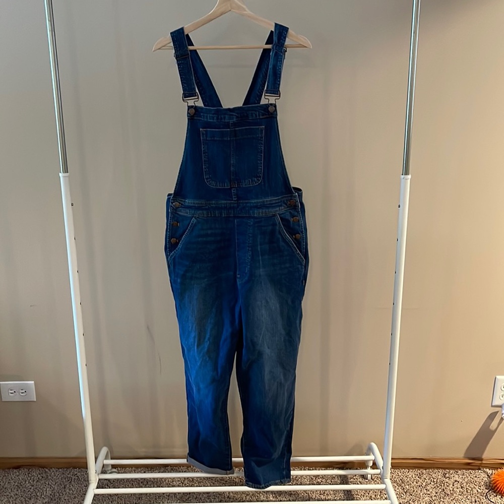 NWT J. Crew Denim Overalls
